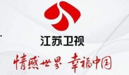 新闻爆料平台江苏卫视,揭秘幕后真相！